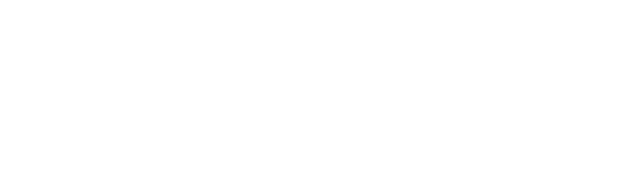 Azeta - Reggiani Group